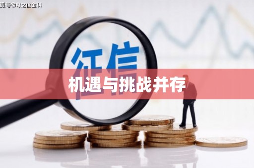 岱岳机遇与挑战并存