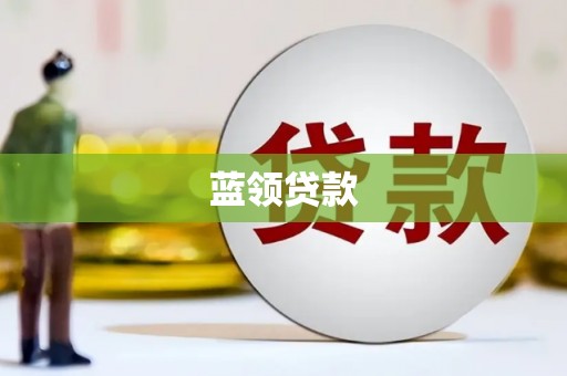 岱岳蓝领贷款