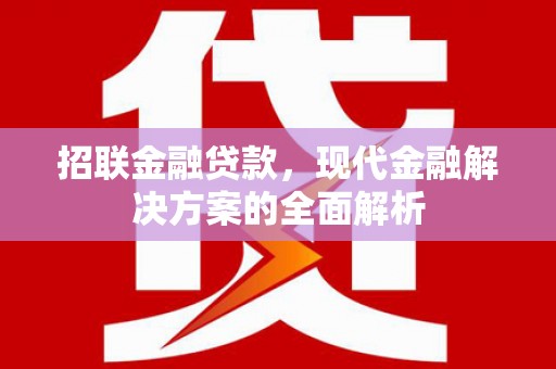 岱岳招联金融贷款，现代金融解决方案的全面解析