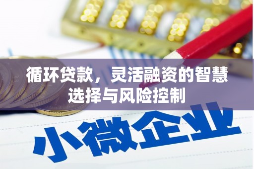 岱岳循环贷款，灵活融资的智慧选择与风险控制