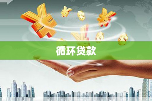 岱岳循环贷款