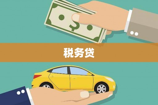 岱岳税务贷