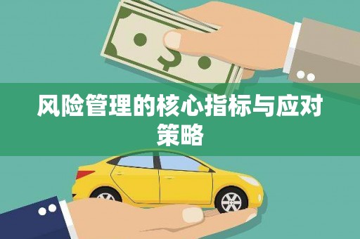 岱岳风险管理的核心指标与应对策略