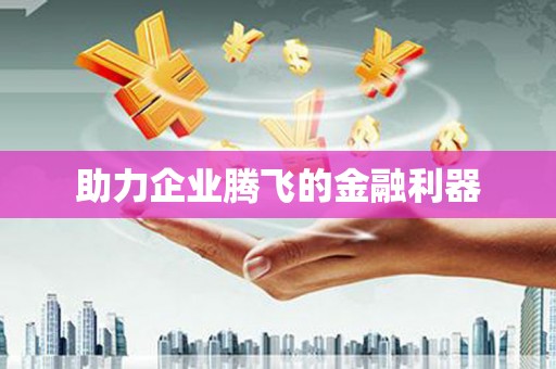 岱岳助力企业腾飞的金融利器
