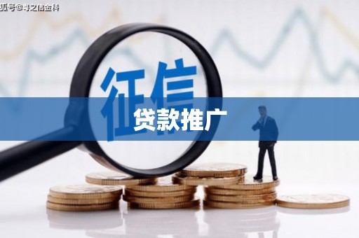 岱岳贷款推广