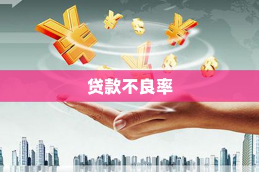 岱岳贷款不良率