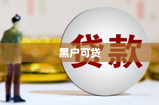 岱岳黑户可贷