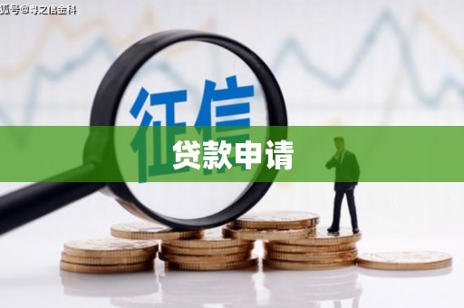 岱岳贷款申请
