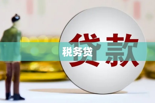岱岳税务贷