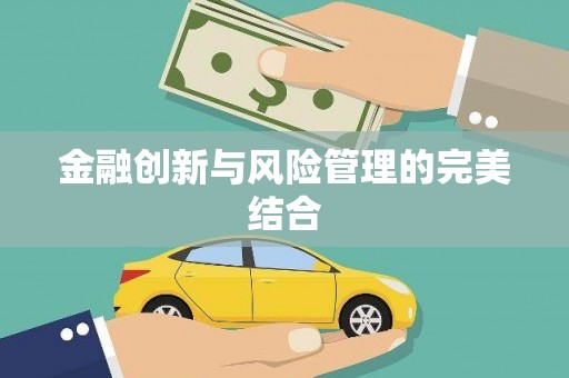 岱岳金融创新与风险管理的完美结合