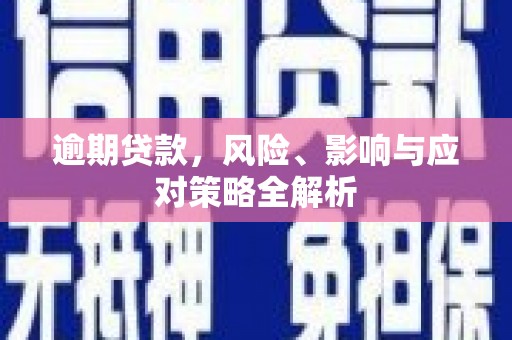 岱岳逾期贷款，风险、影响与应对策略全解析