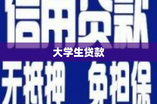 岱岳大学生贷款