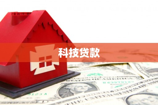 岱岳科技贷款