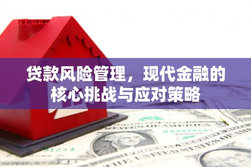 岱岳贷款风险管理，现代金融的核心挑战与应对策略