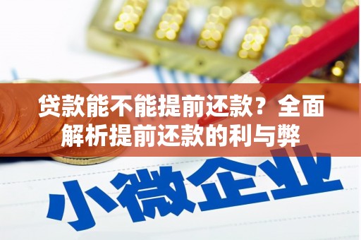 岱岳贷款能不能提前还款？全面解析提前还款的利与弊