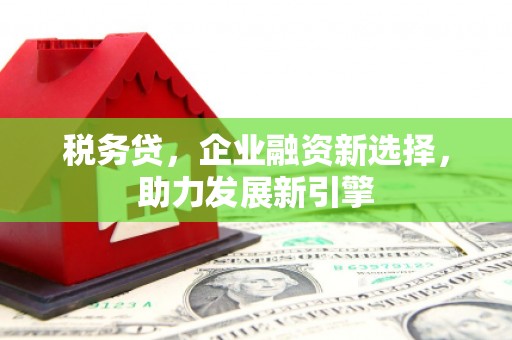 岱岳税务贷，企业融资新选择，助力发展新引擎