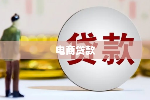 岱岳电商贷款