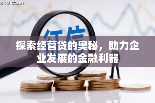 岱岳探索经营贷的奥秘，助力企业发展的金融利器