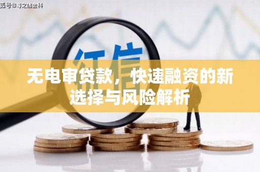 岱岳无电审贷款，快速融资的新选择与风险解析