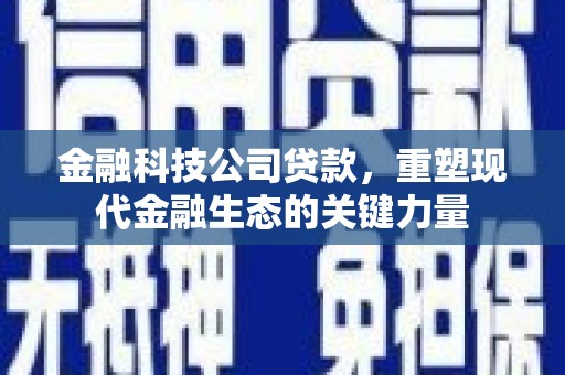 岱岳金融科技公司贷款，重塑现代金融生态的关键力量