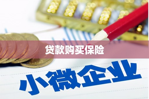 岱岳贷款购买保险
