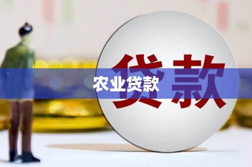 岱岳农业贷款