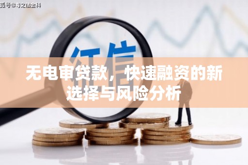 岱岳无电审贷款，快速融资的新选择与风险分析