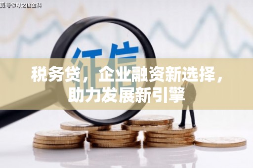 岱岳税务贷，企业融资新选择，助力发展新引擎