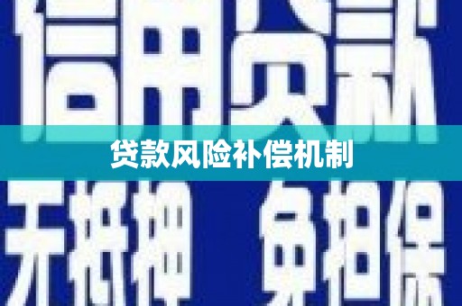 岱岳贷款风险补偿机制