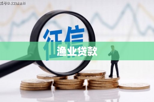 岱岳渔业贷款