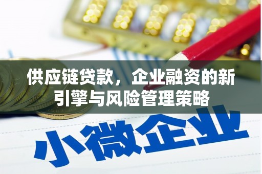 岱岳供应链贷款，企业融资的新引擎与风险管理策略