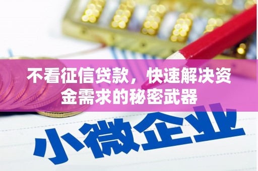 岱岳不看征信贷款，快速解决资金需求的秘密武器