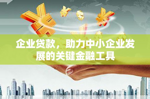 岱岳企业贷款，助力中小企业发展的关键金融工具