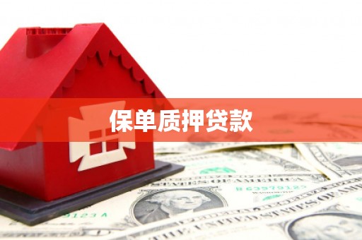 岱岳保单质押贷款