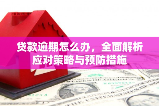 岱岳贷款逾期怎么办，全面解析应对策略与预防措施