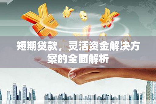 岱岳短期贷款，灵活资金解决方案的全面解析