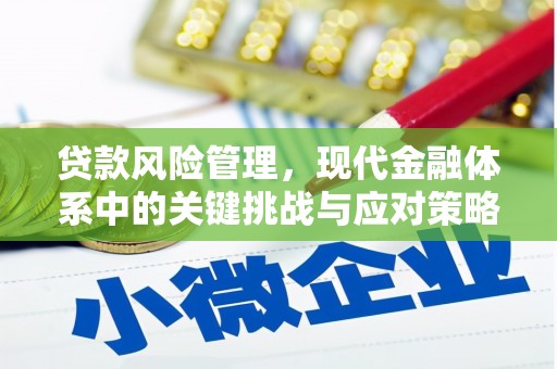 岱岳贷款风险管理，现代金融体系中的关键挑战与应对策略