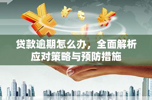 岱岳贷款逾期怎么办，全面解析应对策略与预防措施