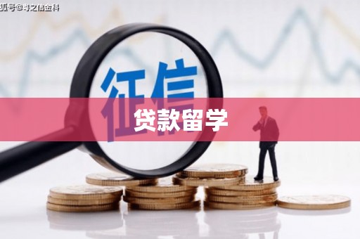 岱岳贷款留学
