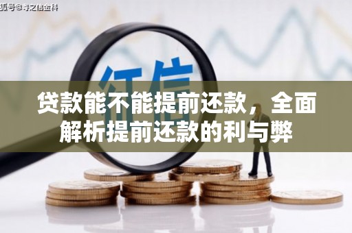 岱岳贷款能不能提前还款，全面解析提前还款的利与弊