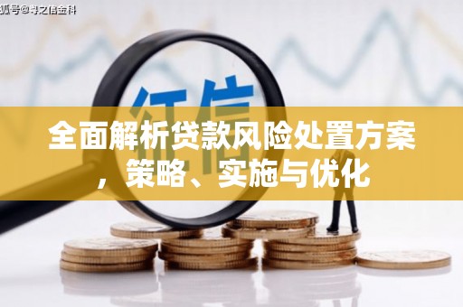岱岳全面解析贷款风险处置方案，策略、实施与优化