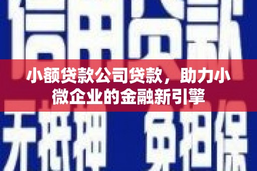 岱岳小额贷款公司贷款，助力小微企业的金融新引擎
