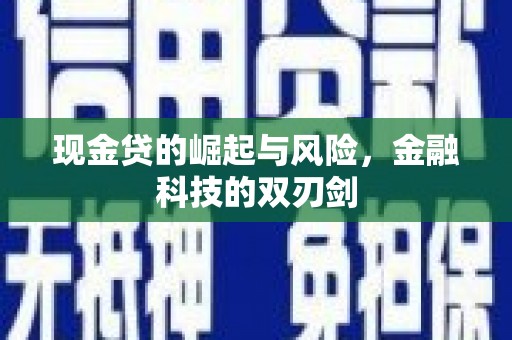 岱岳现金贷的崛起与风险，金融科技的双刃剑