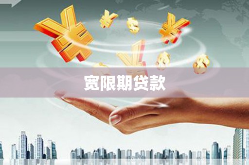 岱岳宽限期贷款