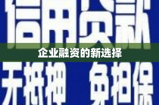岱岳企业融资的新选择