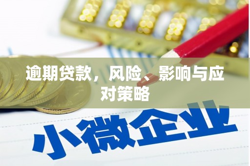岱岳逾期贷款，风险、影响与应对策略