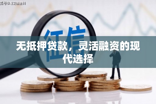 岱岳无抵押贷款，灵活融资的现代选择