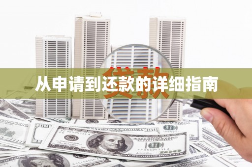 岱岳从申请到还款的详细指南