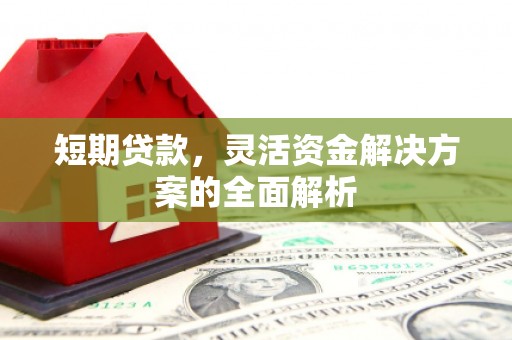 岱岳短期贷款，灵活资金解决方案的全面解析