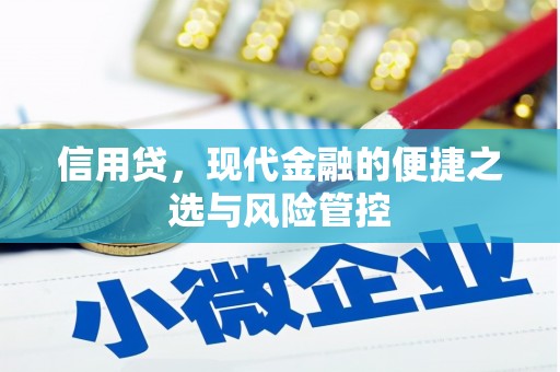 岱岳信用贷，现代金融的便捷之选与风险管控